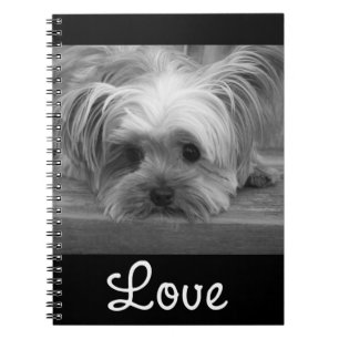 Cuaderno Negro Cachorro Perro Amor Yorkshire Terri