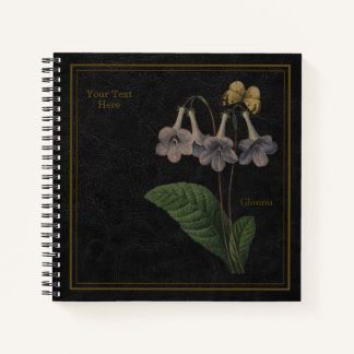 Cuaderno Negro de Gloxinia
