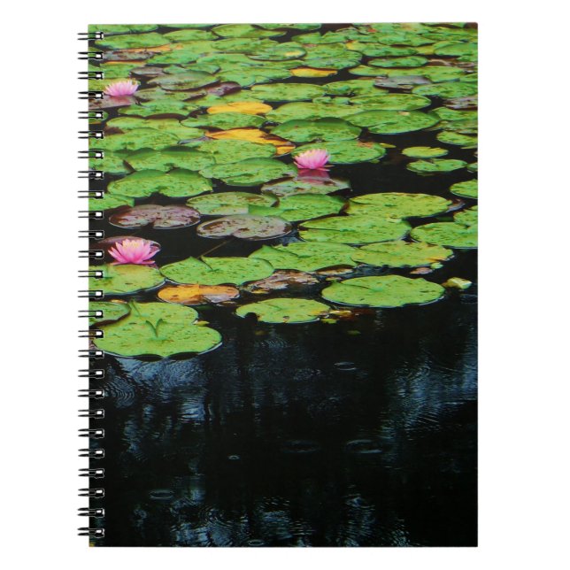 Cuaderno negro loto rosa (Frente)