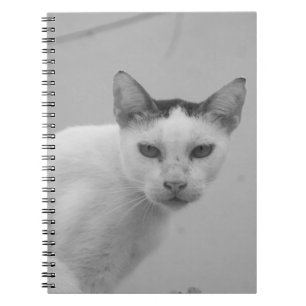 Cuaderno Negro y blanco - Cat 02