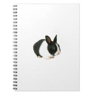 Cuaderno negro y blanco del conejo de conejito