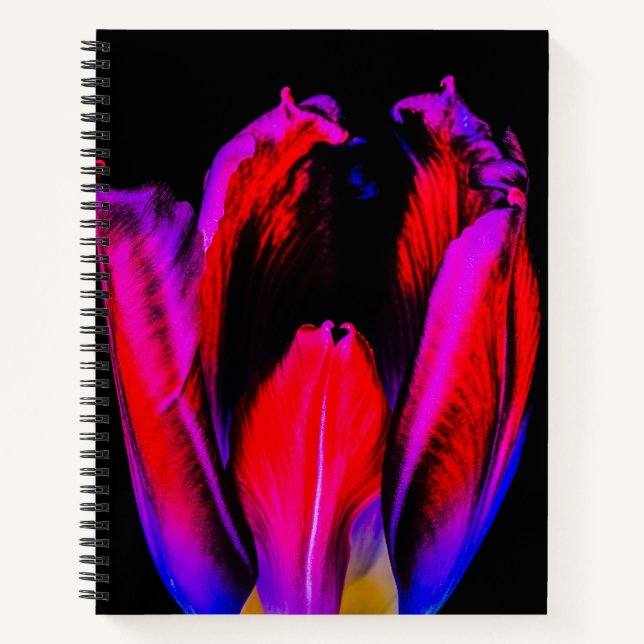 Cuaderno Neon Glow Tulip (Anverso)