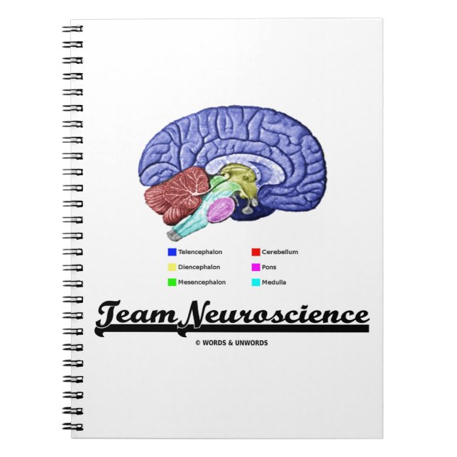 Cuaderno Neurociencia de equipo (Actitud de anatomía cerebr (Frente)