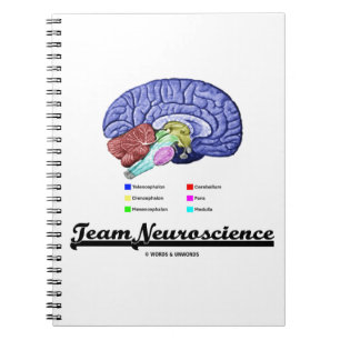 Cuaderno Neurología del equipo (actitud de la anatomía del
