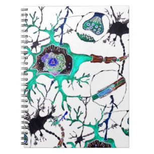Cuaderno ¡Neurona!