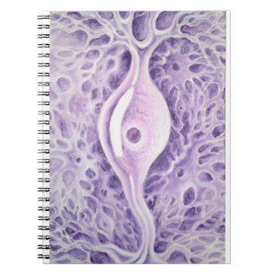 Cuaderno Neurona bipolar