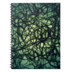 Cuaderno Neuronas