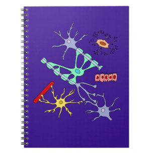 Cuaderno Neuronas Y Glia