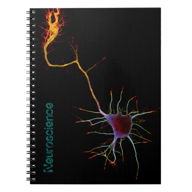 Cuaderno Neuroscience, neuron , science (Frente)