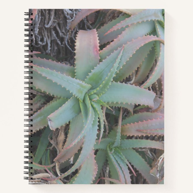 Cuaderno Nevada succulantes (Anverso)