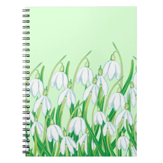 Cuaderno Nevadas de primavera (Frente)