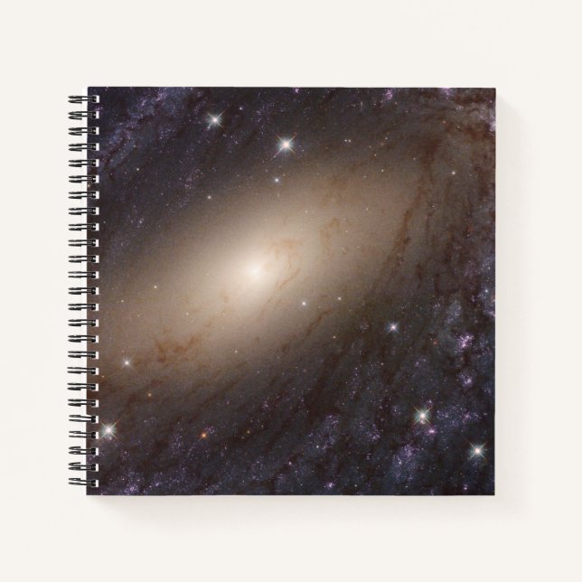 Cuaderno Ngc 6744, A 30 Millones De Años Luminosos. (Anverso)