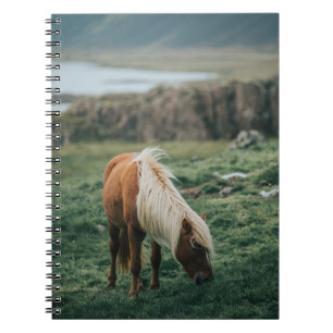 CUADERNO NICE HORSE