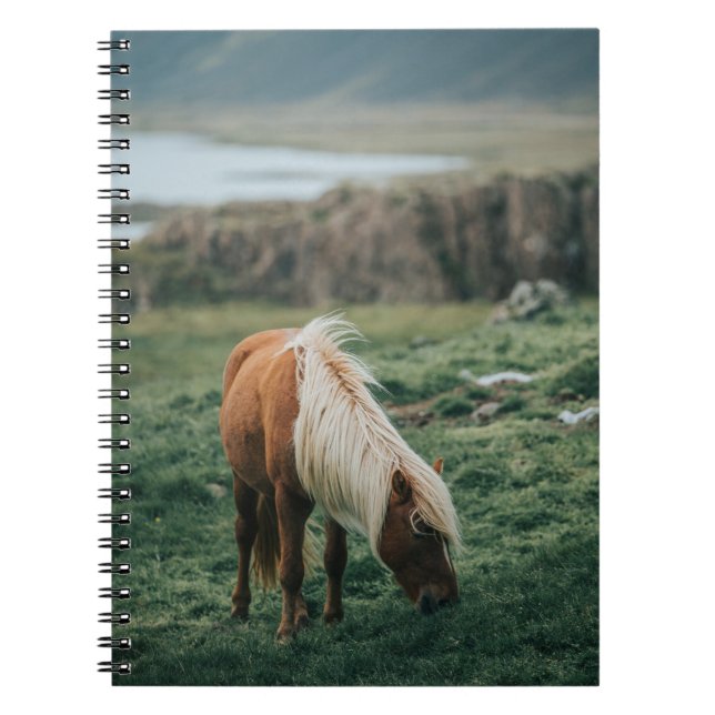 CUADERNO NICE HORSE (Frente)