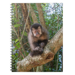 Cuaderno Nico Spiral Photo Notebook