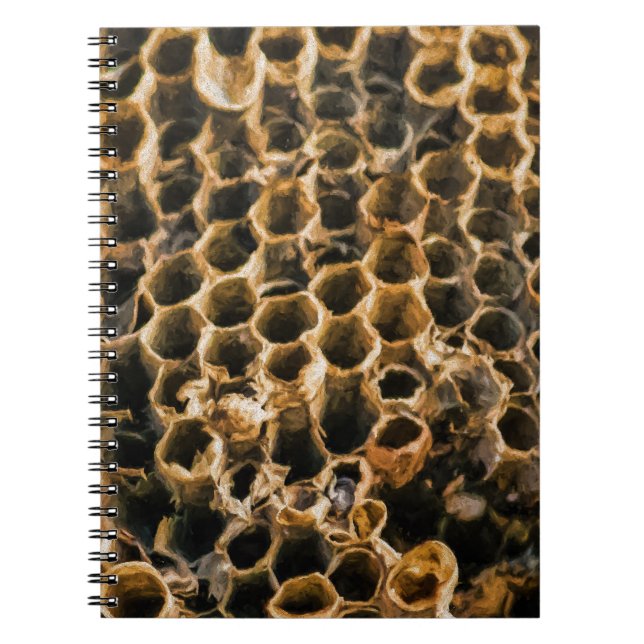 Cuaderno Nido vacío (Frente)