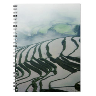 Cuaderno Niebla de la mañana sobre campos del arroz