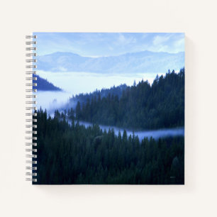 Cuaderno Niebla matutina.....