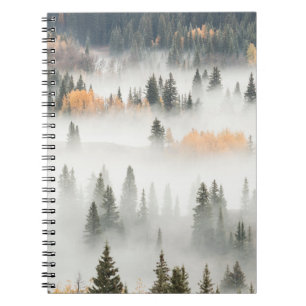 Cuaderno Niebla matutina cubre el bosque de montaña