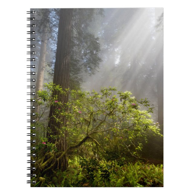 Cuaderno Niebla matutina en Rhododendron (Frente)
