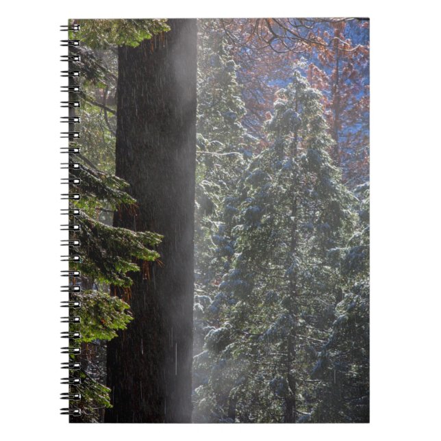 Cuaderno Niebla nevada en el bosque (Frente)