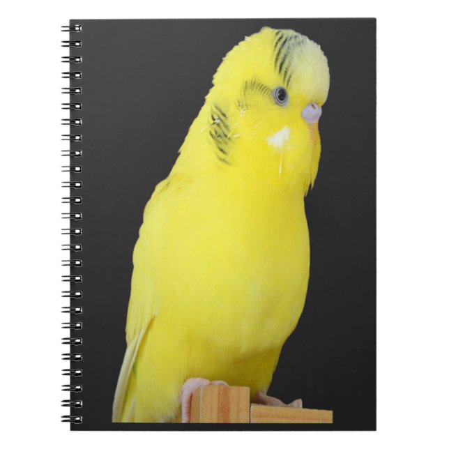 Cuaderno niedlicher gelber Wellensittich (Frente)