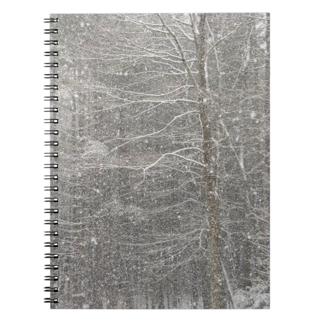 Cuaderno Nieve cayendo (Frente)