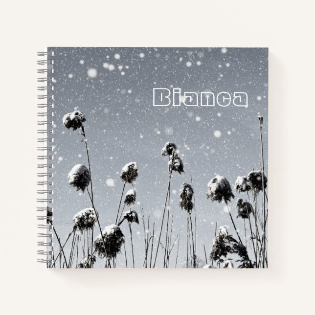 Cuaderno Nieve cayendo (Anverso)
