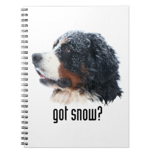 Cuaderno ¿nieve conseguida? Perro de montaña de Bernese