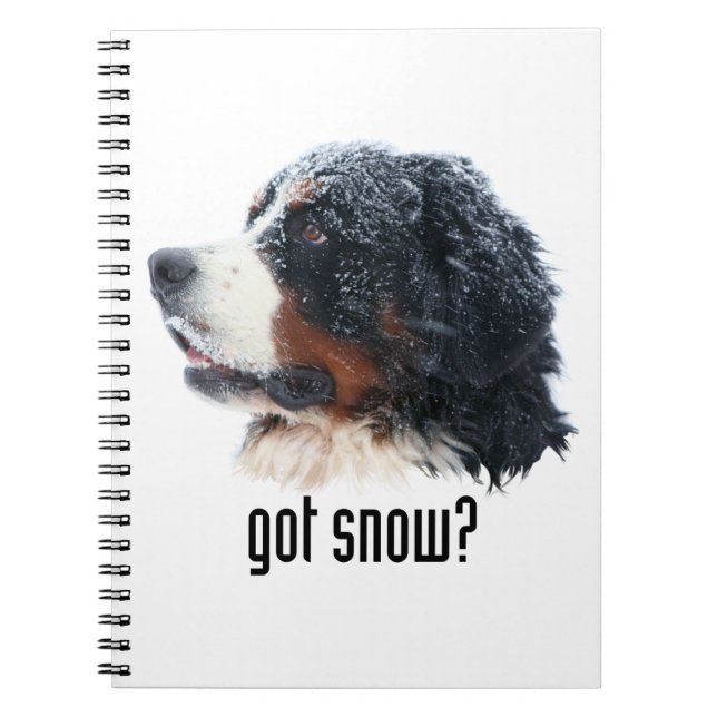 Cuaderno ¿nieve conseguida? Perro de montaña de Bernese (Frente)