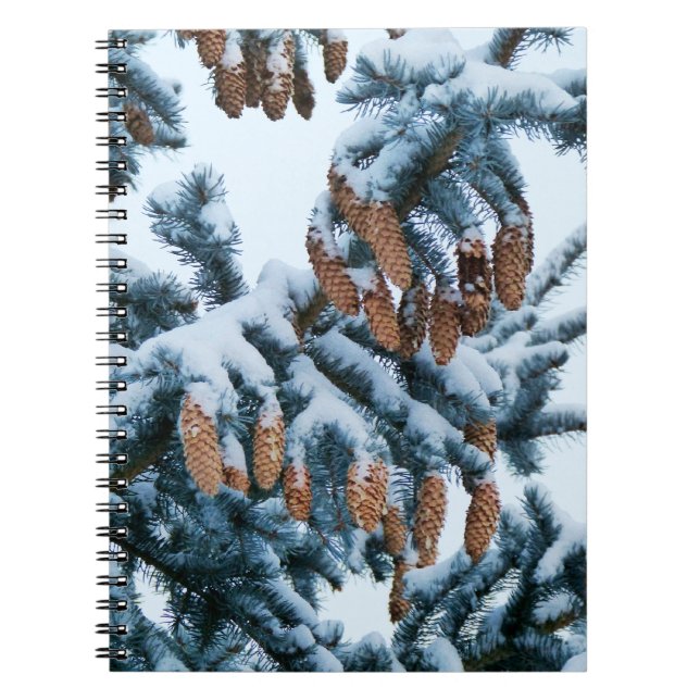 Cuaderno Nieve en el bloc de notas de la red (Frente)