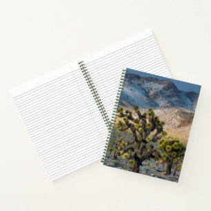 Cuaderno Nieve en el Valle de la Muerte
