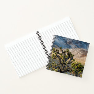 Cuaderno Nieve en el Valle de la Muerte