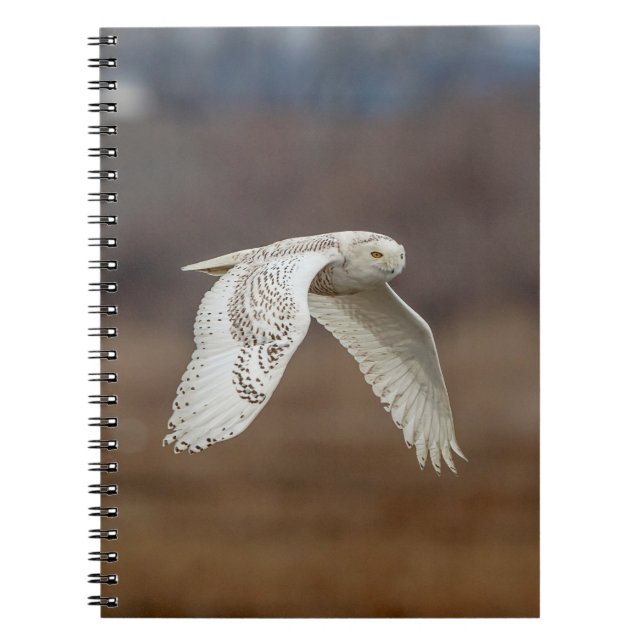 Cuaderno Nieve en vuelo (Frente)