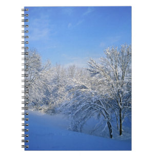 Cuaderno Nieve récord en Louisville, Kentucky.