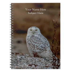 Cuaderno Nieve sobre una roca