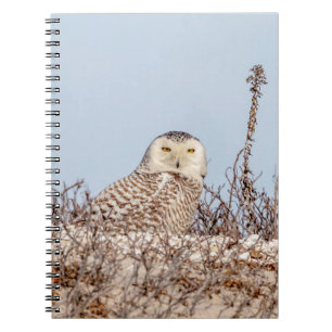 Cuaderno Nieves en la playa