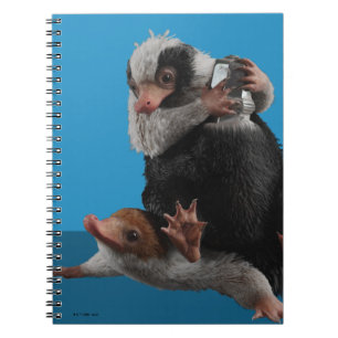 Cuaderno Nifflers Bebés Encuentran Un Premio