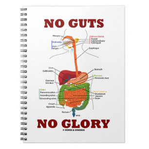 Cuaderno Ninguna tripa ninguna gloria (humor del sistema di