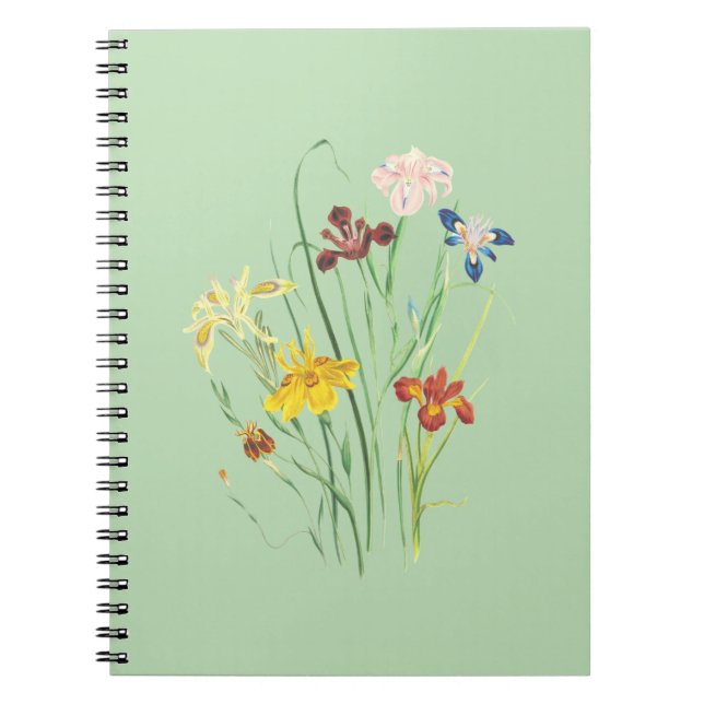 Cuaderno Nirvana de Cuaderno: Los Mejores Diseños a tu  (Frente)