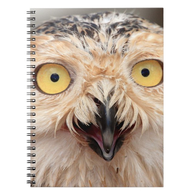 Cuaderno Nivenile Snowy Owl (Frente)
