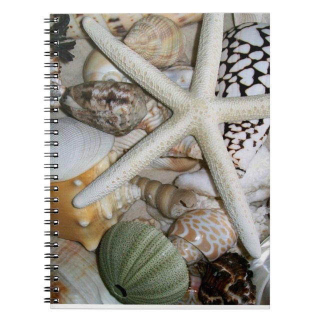 Cuaderno No (Frente)