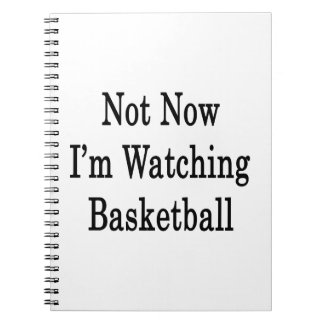 Cuaderno No ahora estoy mirando baloncesto
