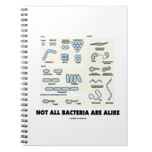Cuaderno No Todas Las Bacterias Son Como La Morfología Bac