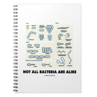 Cuaderno No Todas Las Bacterias Son Como La Morfología Bact