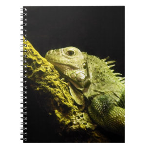 Cuaderno noble de la iguana