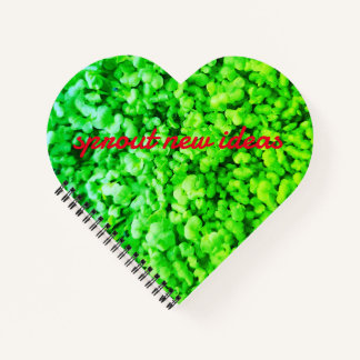 Cuaderno noepad de nuevas ideas