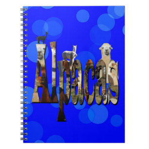 Cuaderno Nombre del logotipo de la Alpaca Azul con Alpacas,
