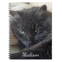 Nombre personalizado de la foto de gato negro suav