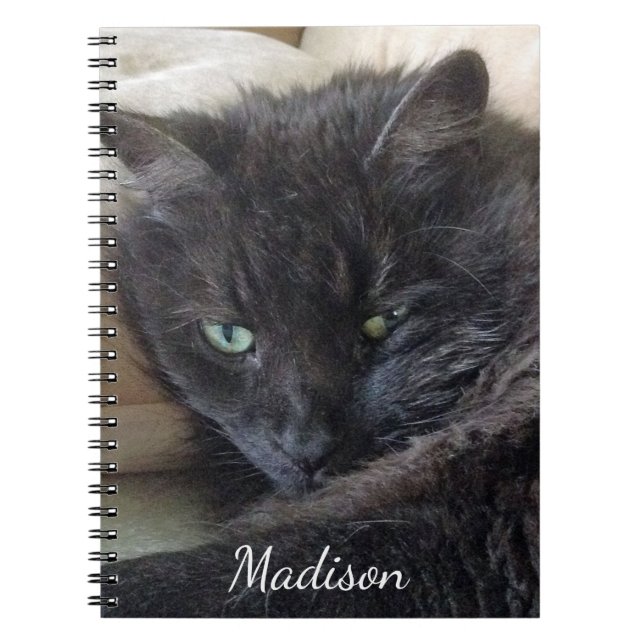 Cuaderno Nombre personalizado de la foto de gato negro suav (Frente)